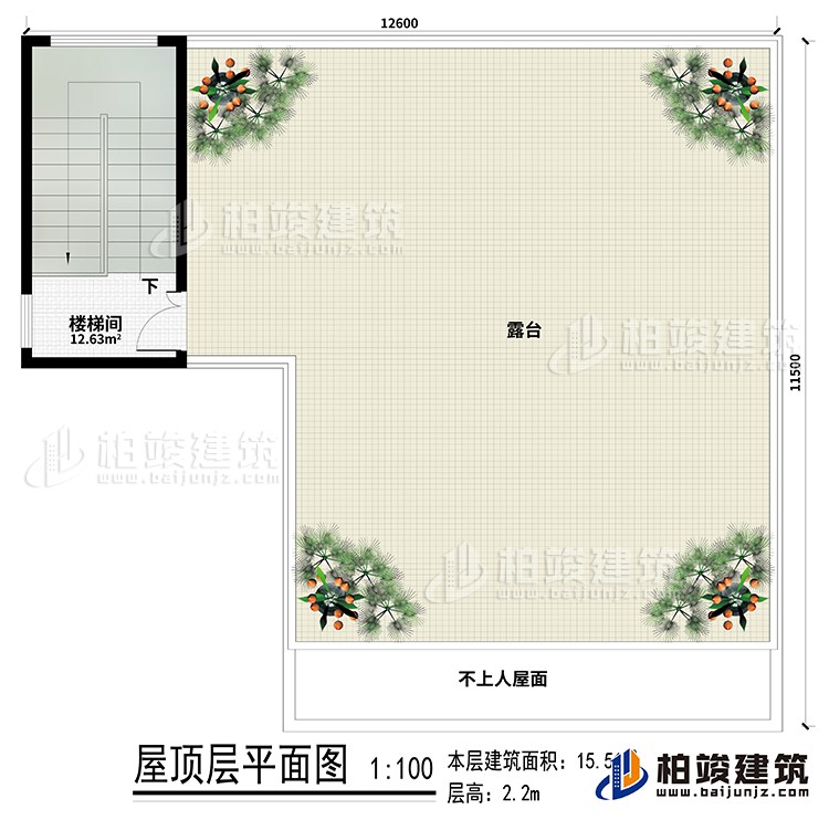 房顶:楼梯间、露台